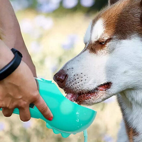 Portable Dog Water Bottle- 3 in 1